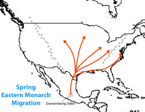 monarch migration map