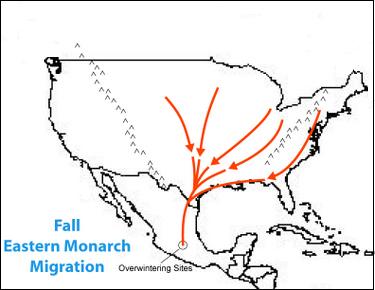monarch migration map
