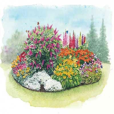 Butterfly Garden Kit