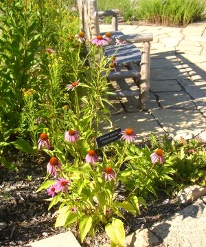 butterfly garden design