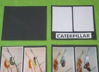 Ideas for Bulletin Boards Instructions