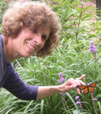 Releasing Monarch Butterfly on Flower